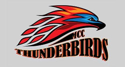Mesa Community College Thunderbirds