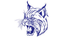 Gallatin County High School Wildcats