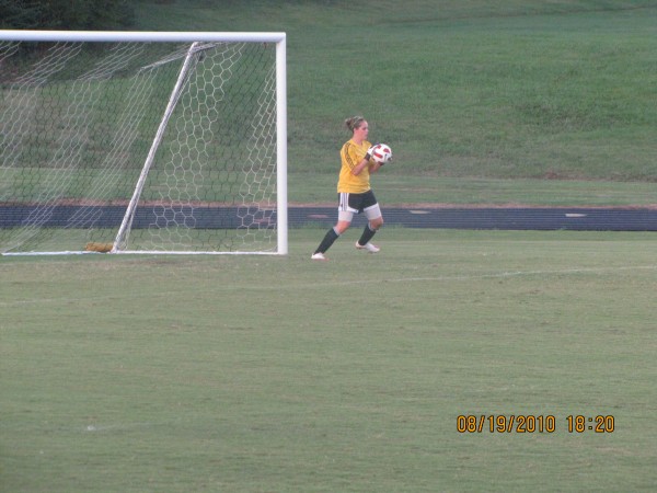 Alyssa Reed - Clarksville High School Soccer, Softball (Clarksville, Tennessee)