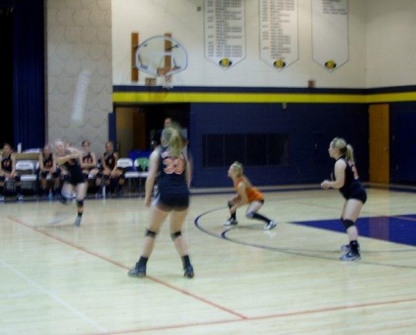 Sydney Vaughn - Springville Secondary School Track & Field, Volleyball (Springville, Iowa)
