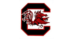 University Of South Carolina-columbia Fighting Gamecocks