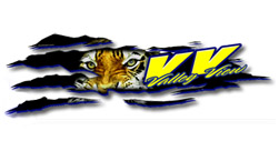 Valley View High School Tigers
