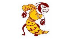 Brookville High School Bees