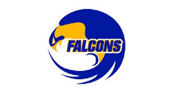 Star International Academy Falcons