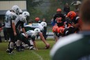 Christian Wilkins's football photos