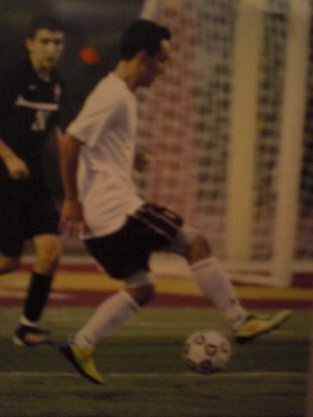 NICHOLAS PUCCIARELLI - Msgr Farrell High School Baseball, Football, Soccer (Staten Island, New York)