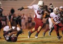 Michael Nichols's football photos