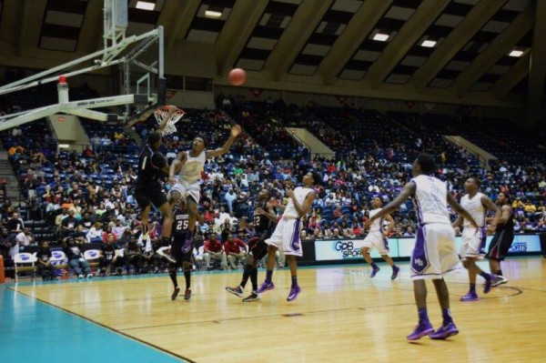 Nathan Curtis - Warner Robins High School Basketball (Warner Robins, Georgia)