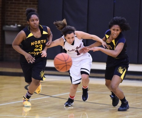 Sasianna Meadows - North High School Basketball, Softball, Volleyball (Akron, Ohio)