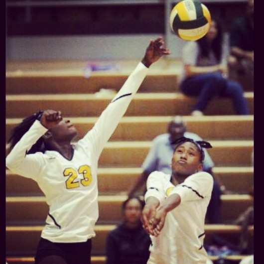 Sasianna Meadows - North High School Basketball, Softball, Volleyball (Akron, Ohio)