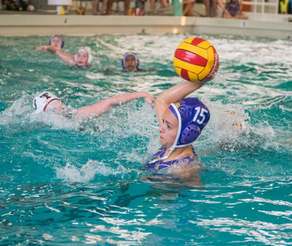 Olivia Daniels - Sunset High School Swimming, Water Polo (Portland, Oregon)
