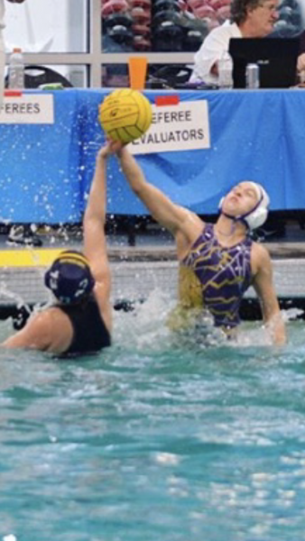 Olivia Daniels - Sunset High School Swimming, Water Polo (Portland, Oregon)