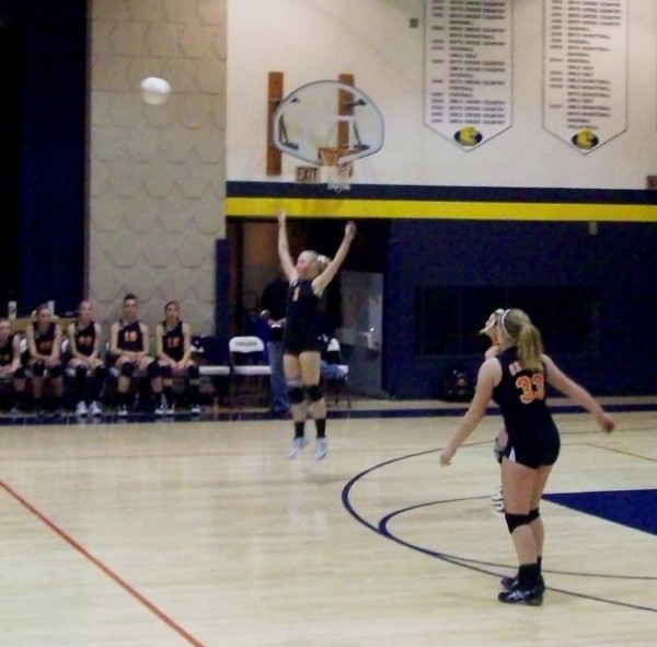 Sydney Vaughn - Springville Secondary School Track & Field, Volleyball (Springville, Iowa)