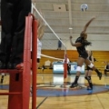 Donzhane Clark