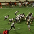 Dalton Moss