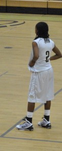 Jayce Webster