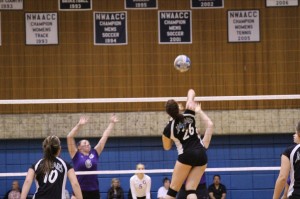 Madison Fehrenbacher