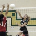 Taylor Batten